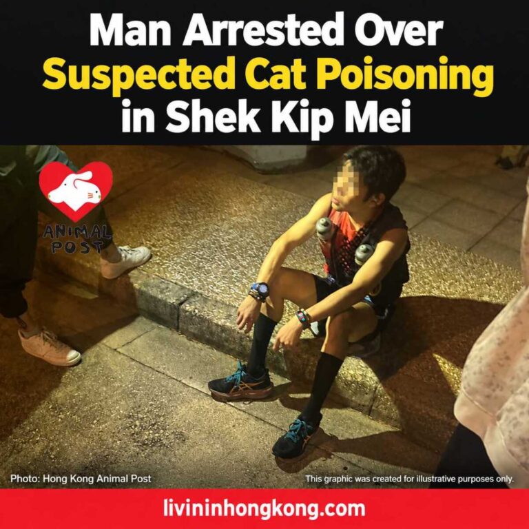 shek-kip-mei-thumbnail